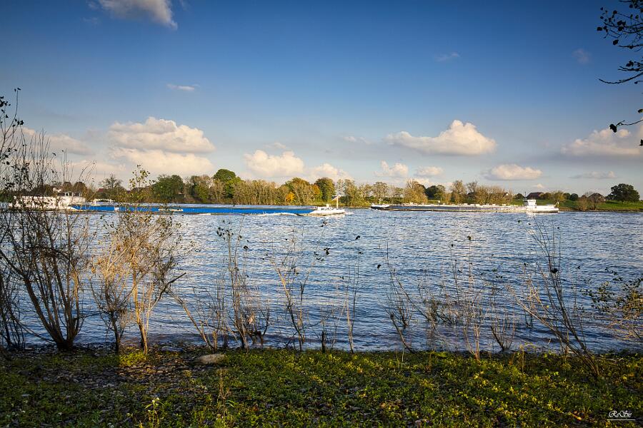 Rhein bei Wallach__60