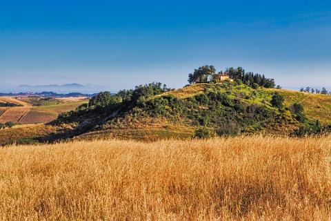 Landschaft Juni 2013-08_16