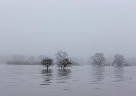 001 Hochwasser+Nebel