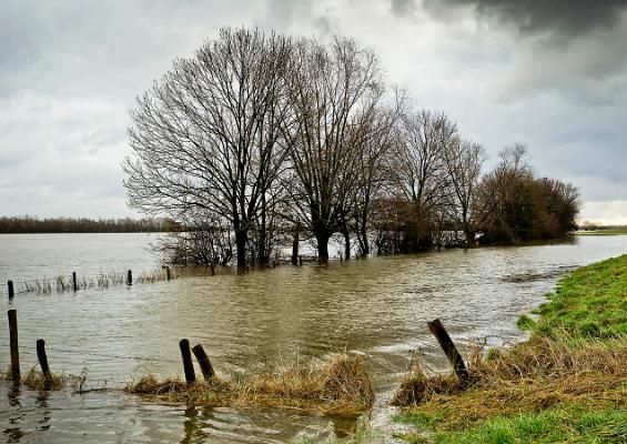 004 Hochwasser am Deichfuß