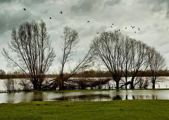 005 Hochwaasser am Deichfuß
