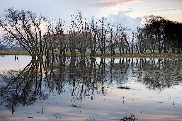 006 Land unter später Nachmittag