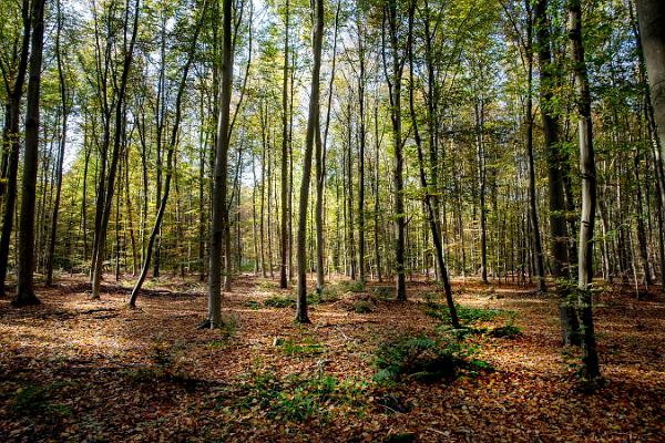 013 die letzten Sonnenstrahlen