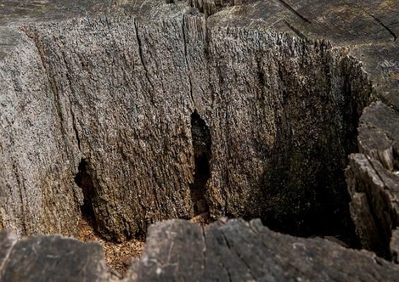 017 es ist schon lange her