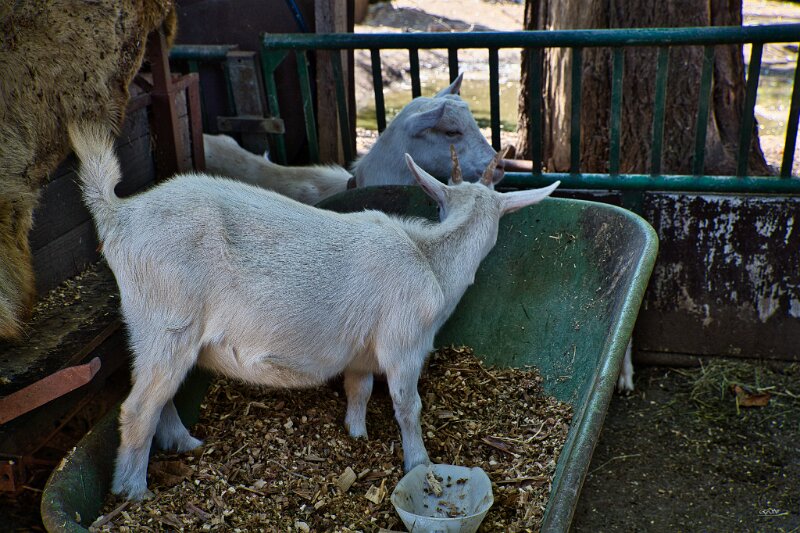 unbenannt (11 von 15)