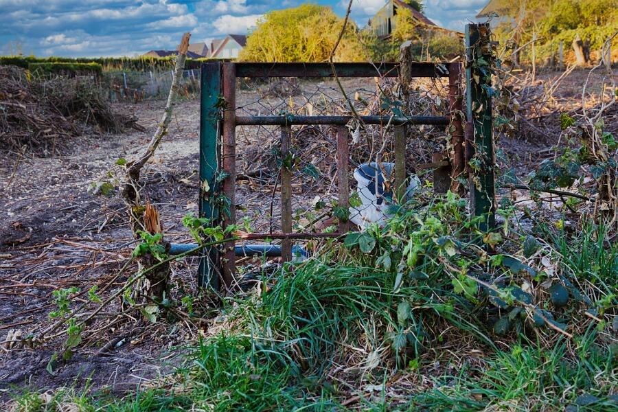 Wallach Kaiserstr__001