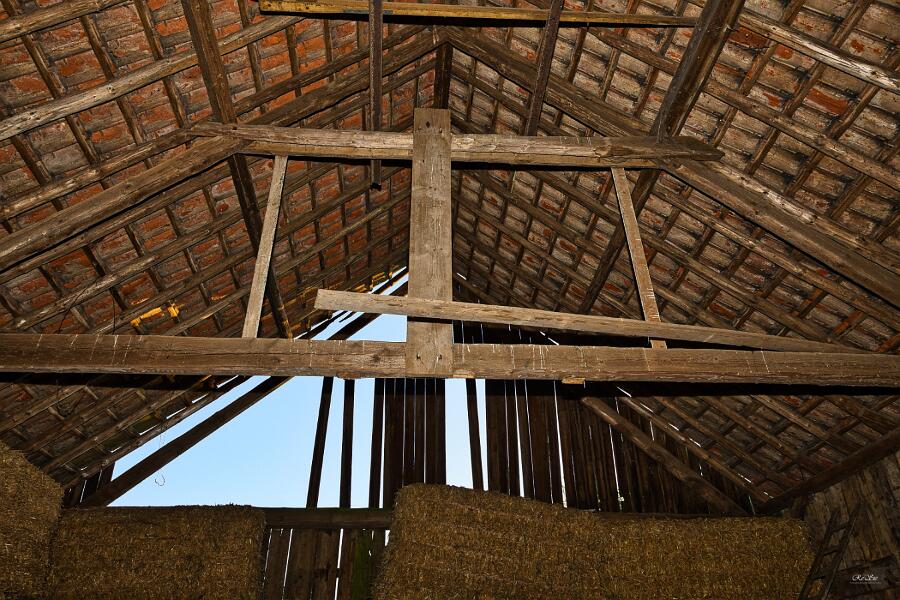 Wallach Kaiserstr__024